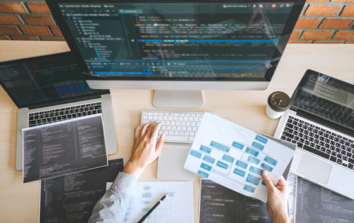 Professional Developer programmer working a software website designing